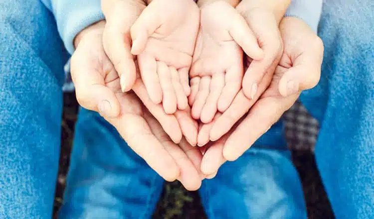 dichiarazione di successione
